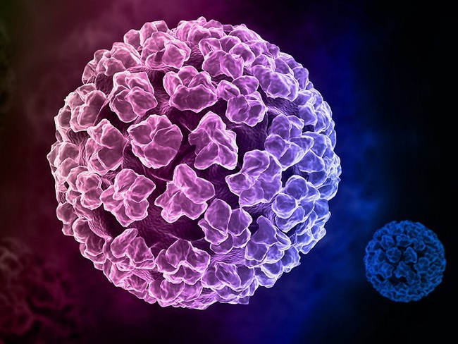 Virus HPV là nguyên nhân chính gây nên các loại hột cơm