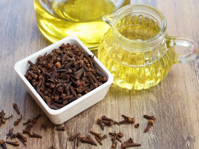  dầu oliu trị mụn 