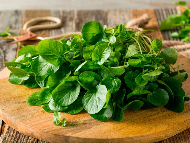 thực phẩm chống lão hóa