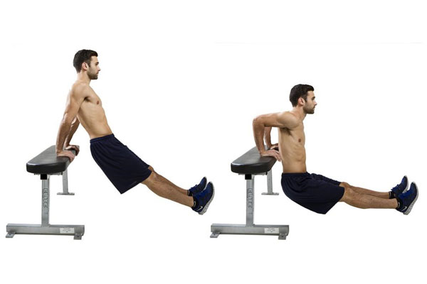 Bài tập Cardio Triceps Dips giảm mỡ toàn thân hiệu quả 