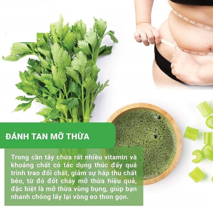 Cần tây chứa giàu thành phần dinh dưỡng rất tốt cho sức khỏe 