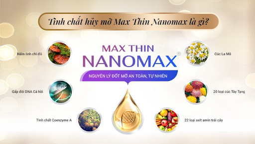 Tinh chất Max Thin Nanomax có tác dụng hủy mỡ vượt trội nhờ sự kết hợp của các thành phần tự nhiên