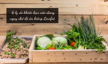 lý do dừng ngay chế độ ăn kiêng Lowfat